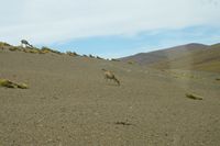 
DSC00206